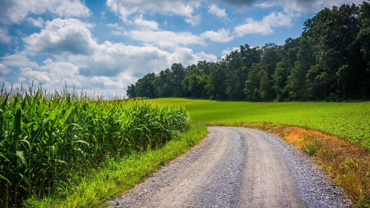 Carroll County, MD.